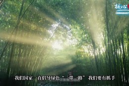 核心观 | 与世界共享生物多样性治理的“中国经验”