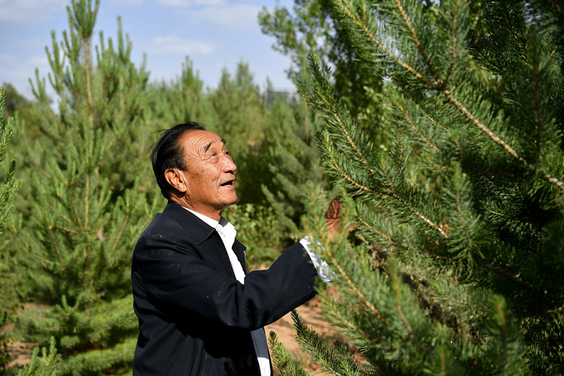 1650942687621023025.jpg 22.jpg