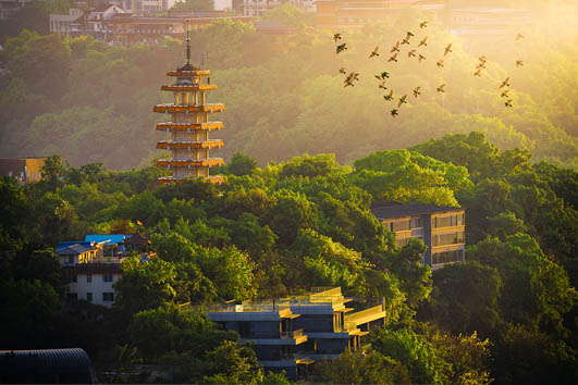 Ecological Civilization