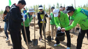 中外青年志愿者“感知中国”库布其沙漠绿色行
