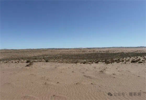 1741848450039037304.jpg 2.jpg