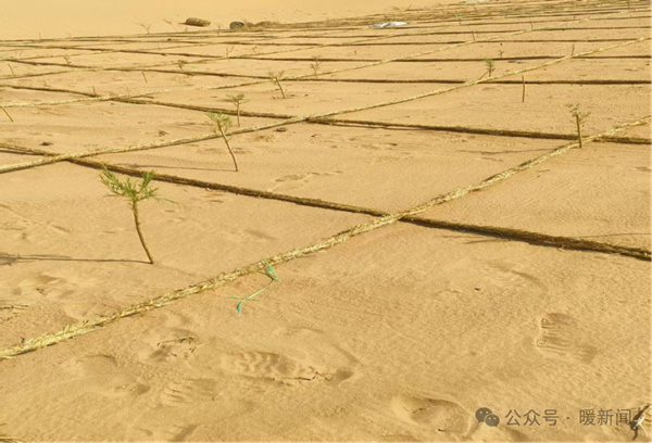 1752567223960087102.png 水土保持.png