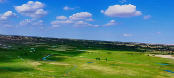 1761120426135040721.jpg 绿洲1_副本.jpg