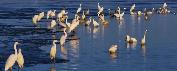 1761120466473032195.jpg 绿洲3_副本.jpg