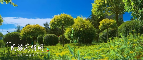 1761289229418026284.jpg 东胜区3.jpg