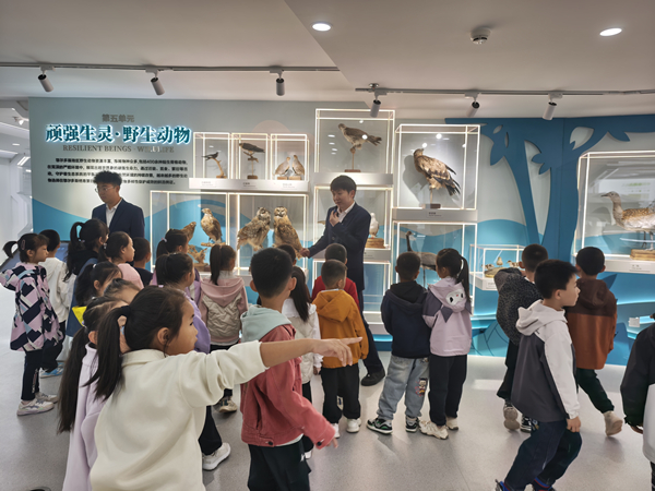 1761290315447053471.jpg 科技馆6.jpg