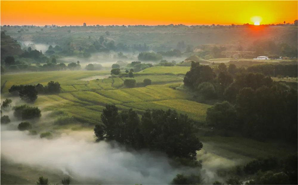 1762242844241002356.jpg 萨拉乌苏1.jpg