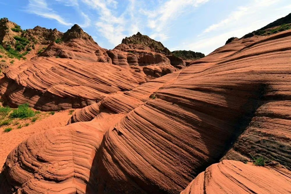 1762242867764061077.jpg 萨拉乌苏3.jpg