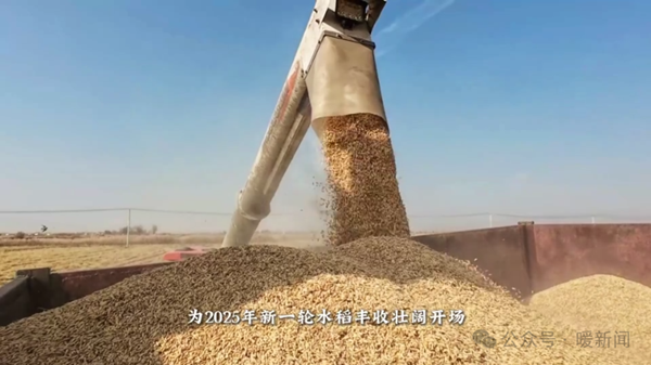 1763024041061069939.png 丰收3.png