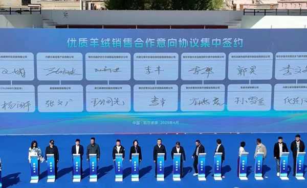 Ordos cashmere industry secures 427m-yuan deal 