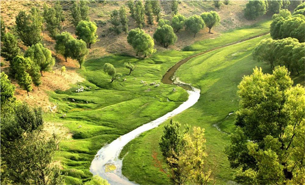 Sala Wusu 4A-level attraction