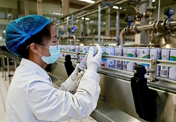 Inner Mongolia Plateau Almond Drink Co