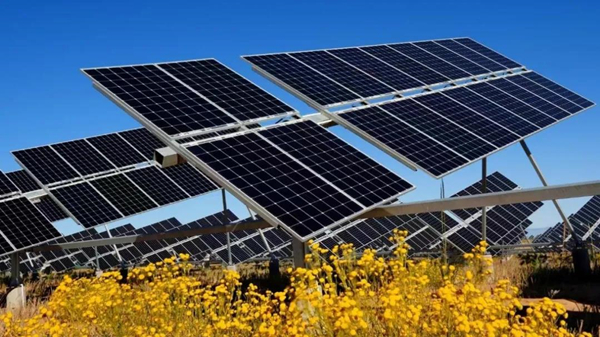 Dalad Banner pioneers innovative desert management model