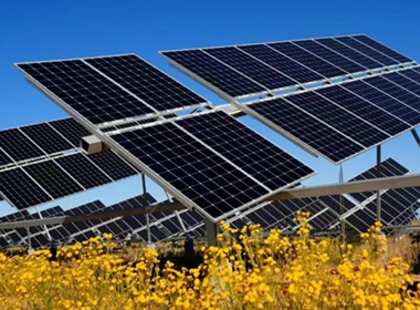 Dalad Banner pioneers innovative desert management model