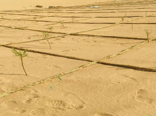 15m yuan water and soil conservation project to be completed in Hanggin Banner 