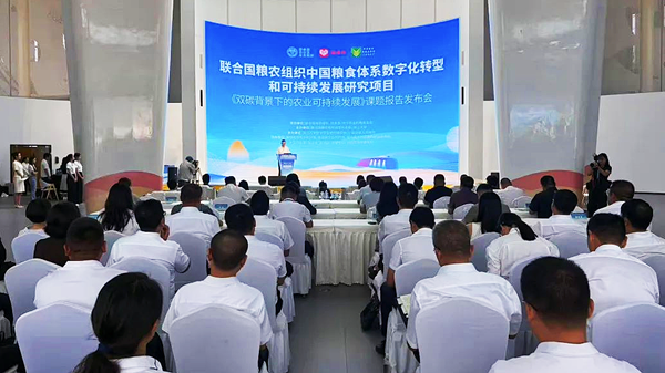 Ordos case selected for UN FAO research report