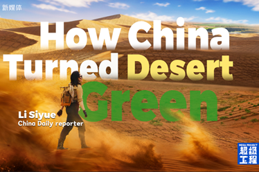 How China turned desert green?